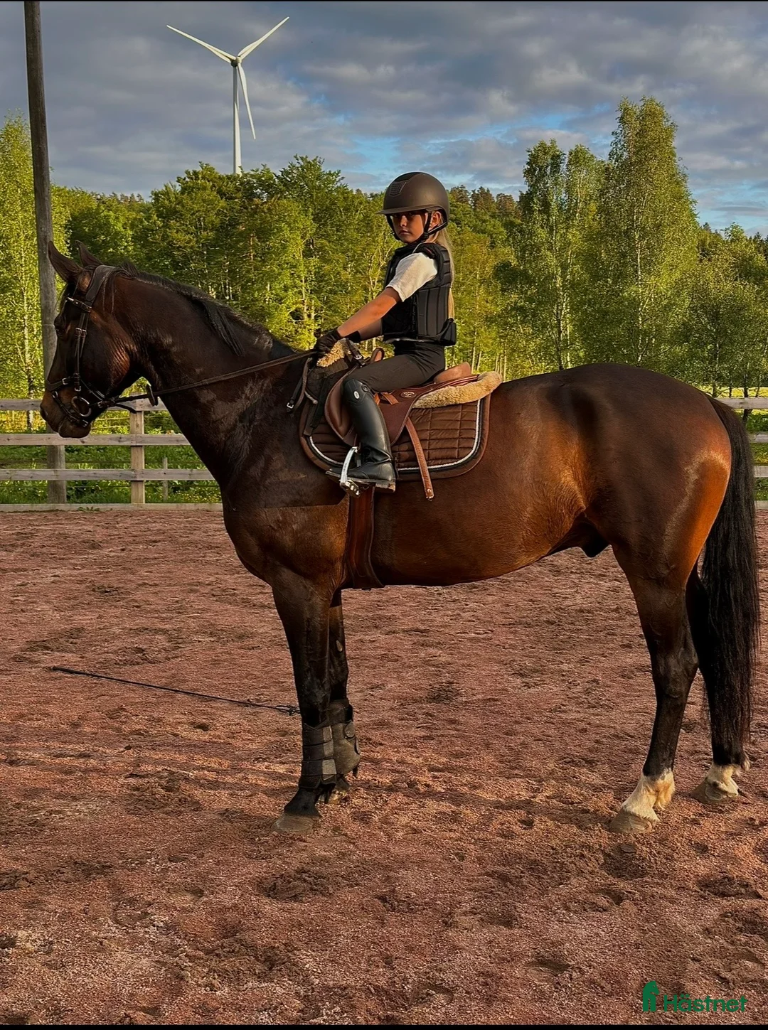  medryttarhäst sökes: Hopphästar söker medr (även ponny) i Arkelstorp - Annons 1