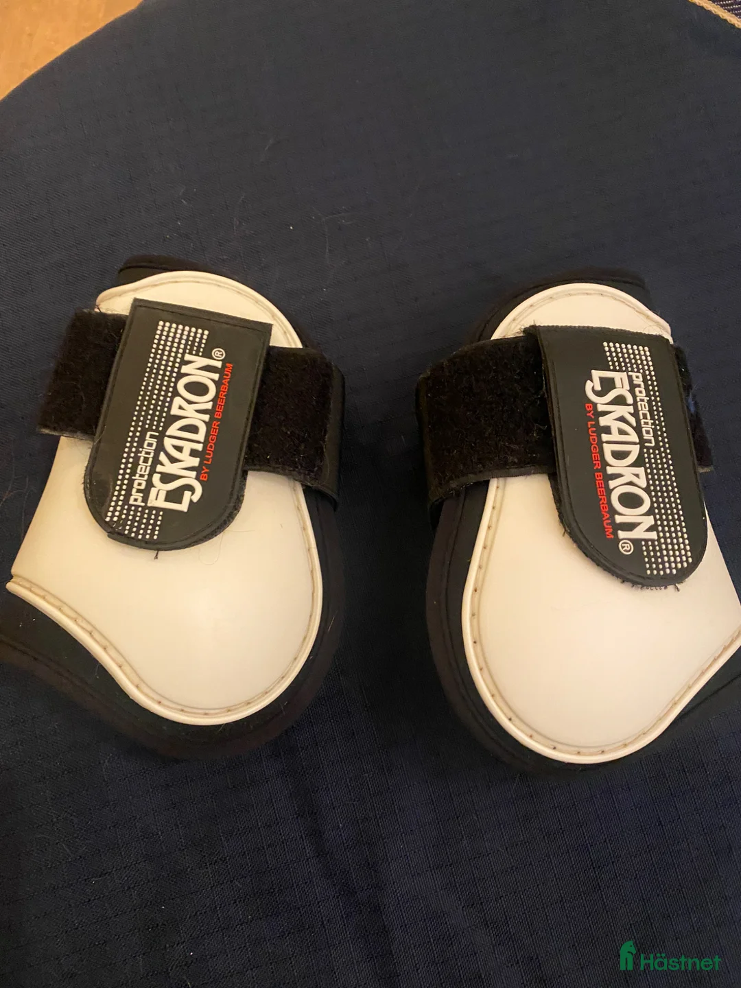 Benskydd hästutrustning till salu: Eskadron senskydd - Annons 3