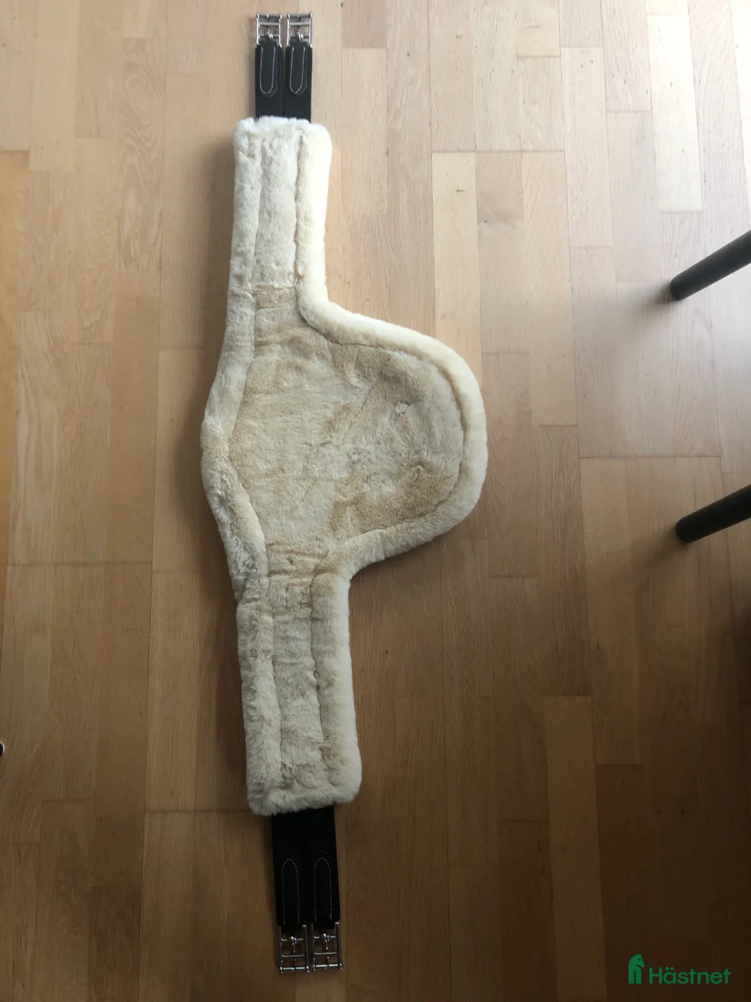 Sadeltillbehör hästutrustning till salu: Lippo hoppgjord magplatta - Annons 2