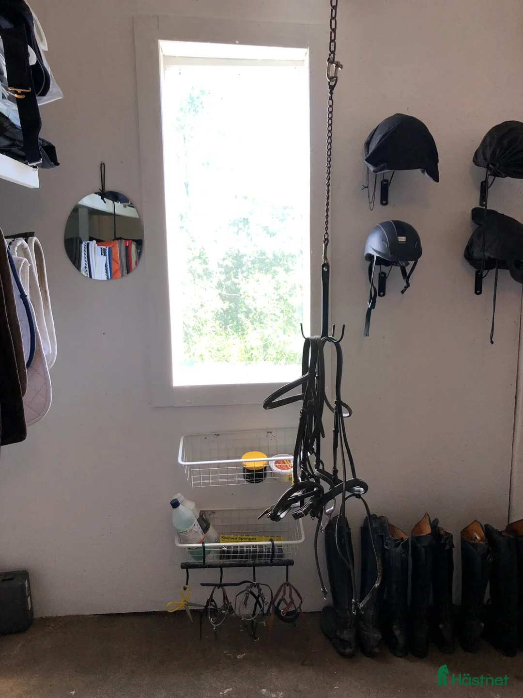  stallplats finnes: 1 box plats ledig  - Annons 6