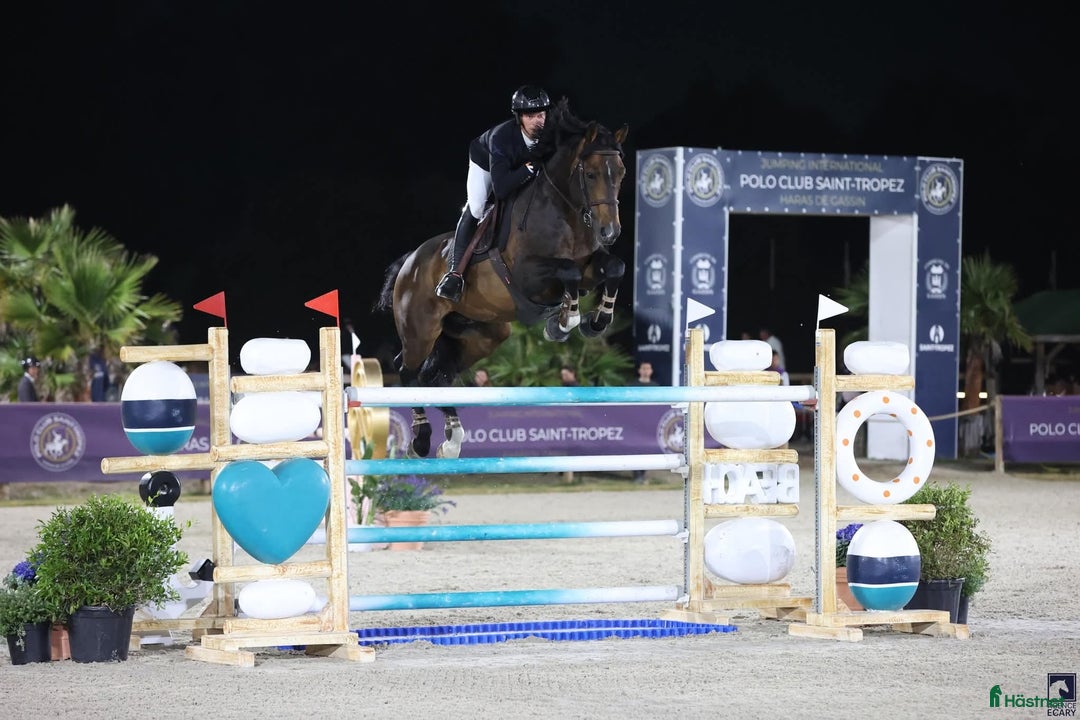 Hoppning hästar till salu: Grand Prix stallion  i Nacka - Annons 1