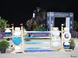 Hoppning hästar till salu: Grand Prix stallion i Nacka - Annons 2