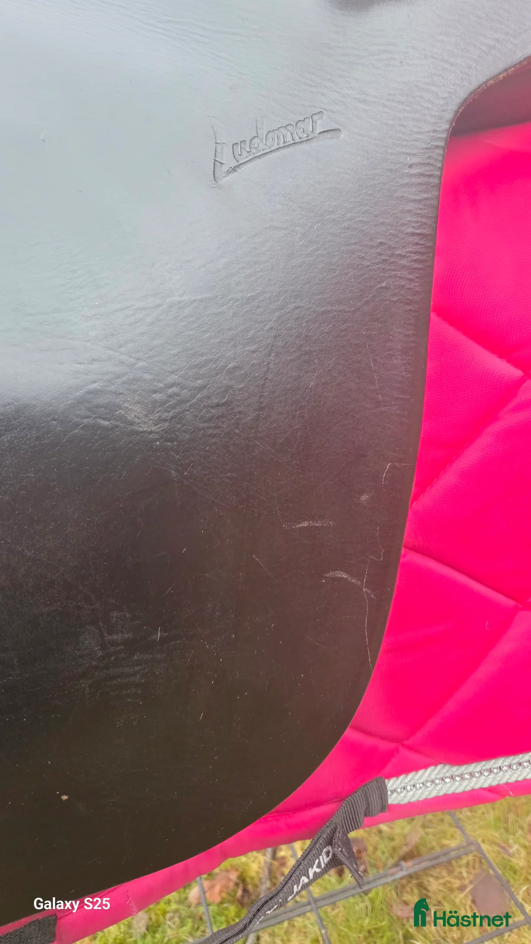 Sadlar hästutrustning till salu: Underbar Ludomar  - Annons 10