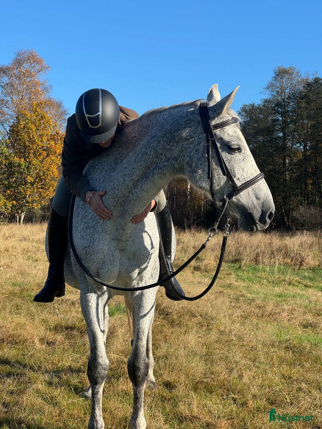 Allround hästar till salu: Min älskade Pärlan 🩷 i Ullared - Annons 2