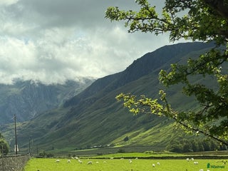 hästjobb Genuin, ansvarstagande medarbetare i Löddeköpinge - Annons 7