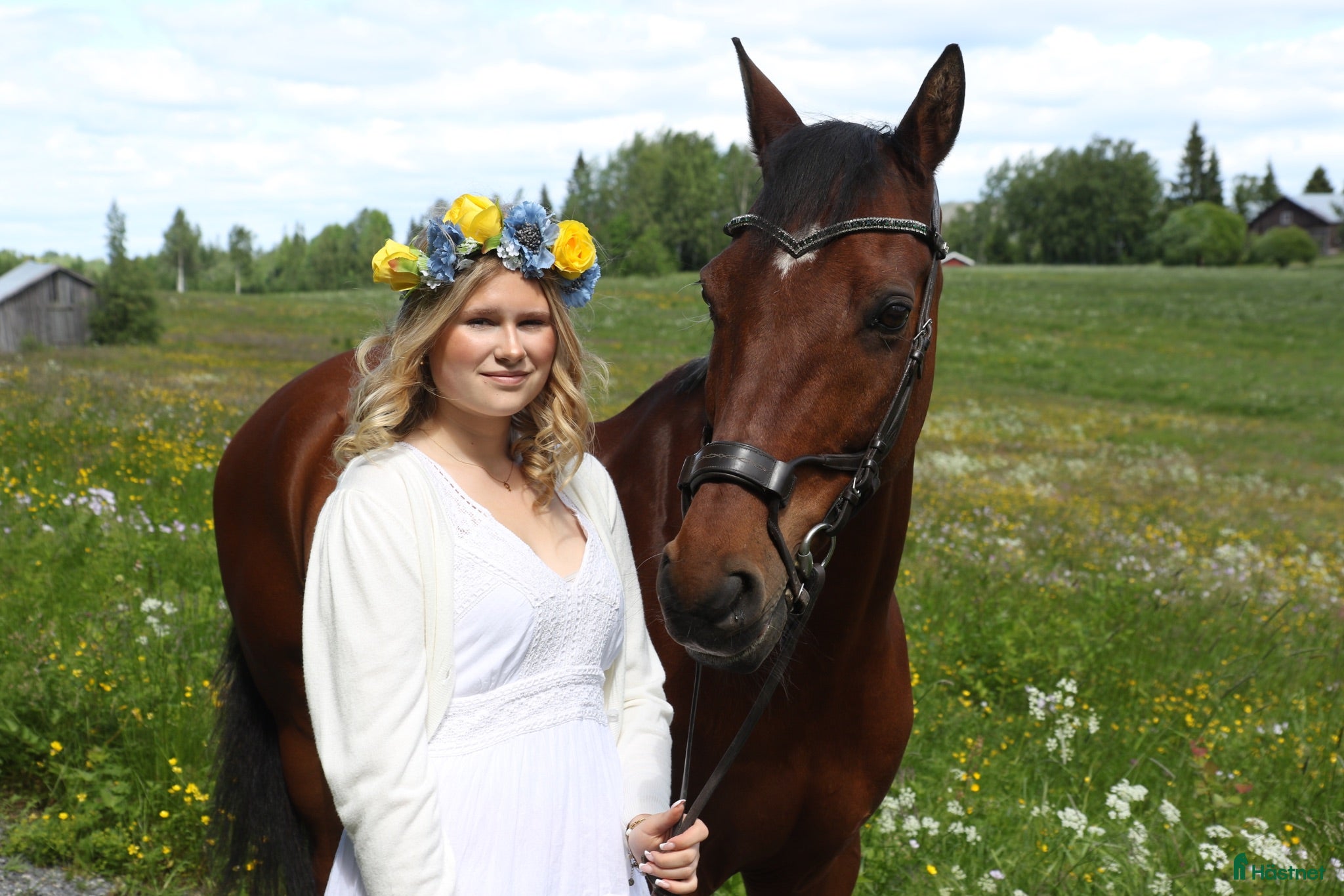  hästar D ponny söker en ny bästa vän - Annons 3
