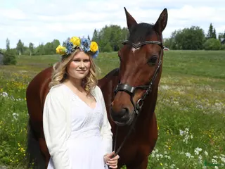 hästar D ponny söker en ny bästa vän - Annons 3