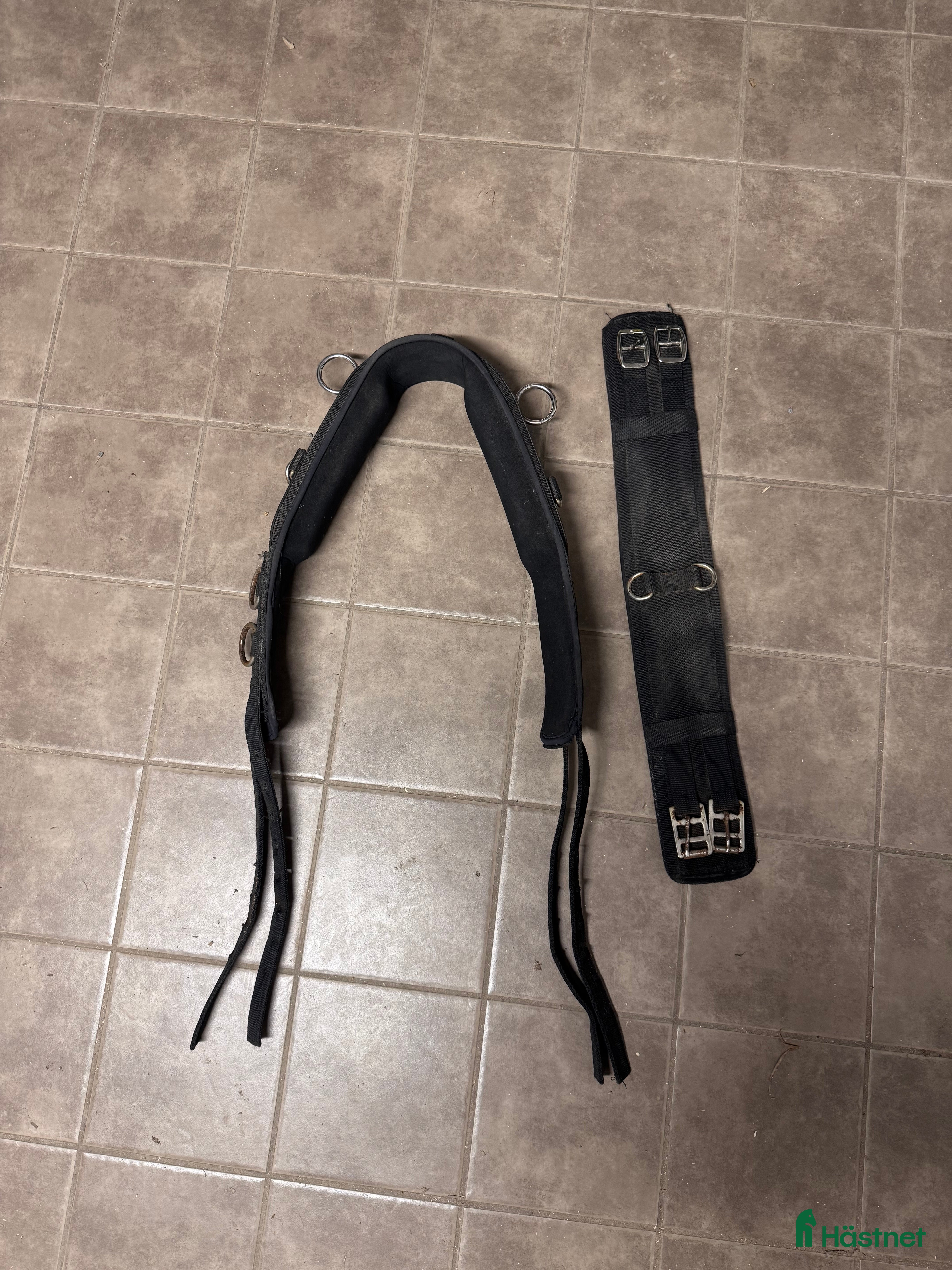 Övrig Hästutrustning hästutrustning till salu: Tömkörningsgjord i Borlänge - Annons 17