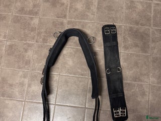 Övrig Hästutrustning hästutrustning till salu: Tömkörningsgjord i Borlänge - Annons 7