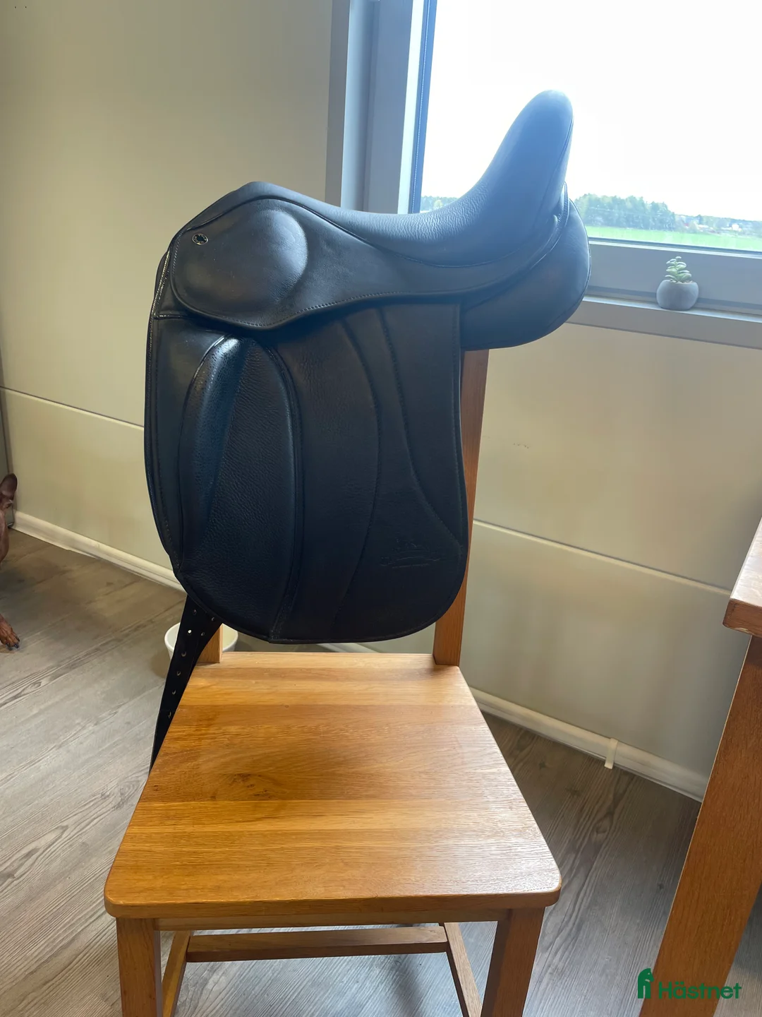 Sadlar hästutrustning till salu: Töltrider 16,5 i Uppsala - Annons 2