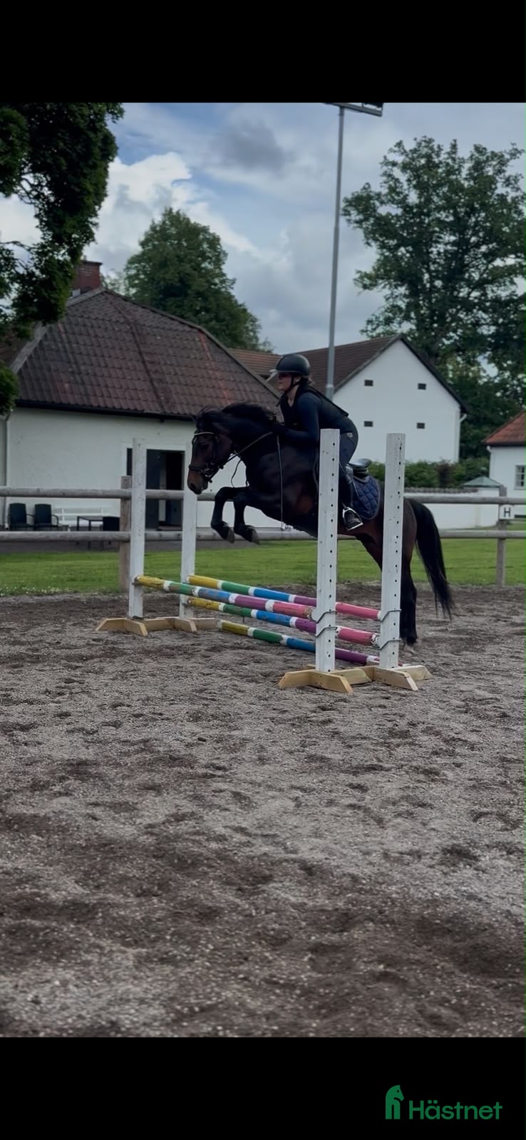  hästar Magiskt snäll och positiv kille med potential - Annons 1