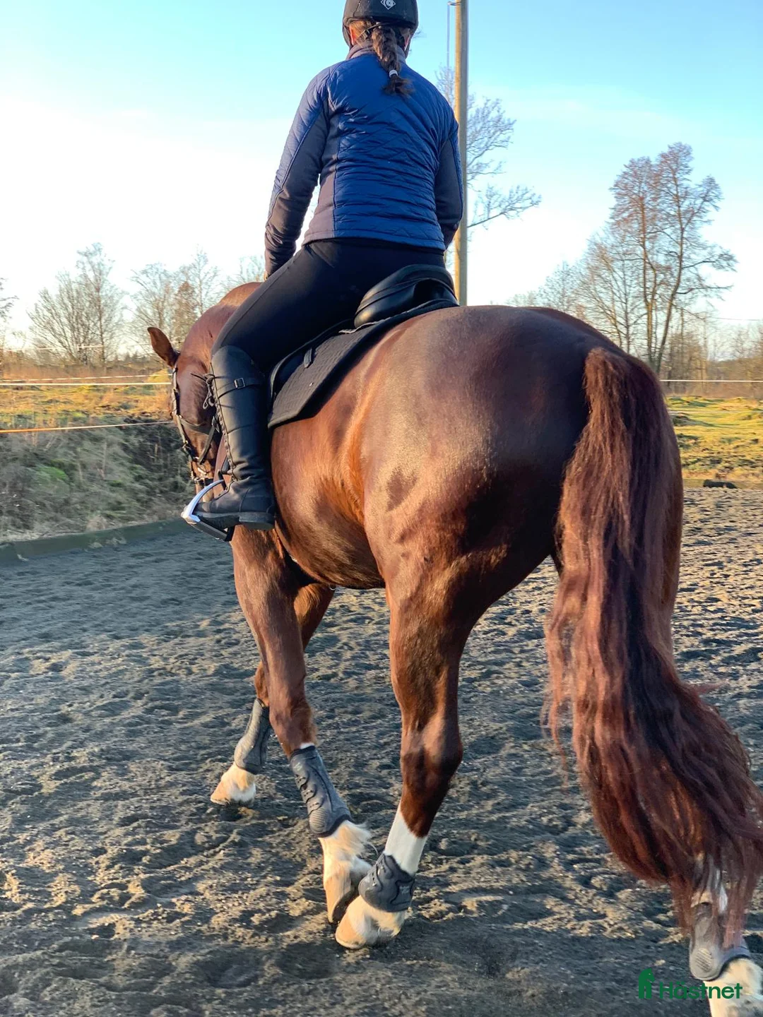 Galleribild {{count}}