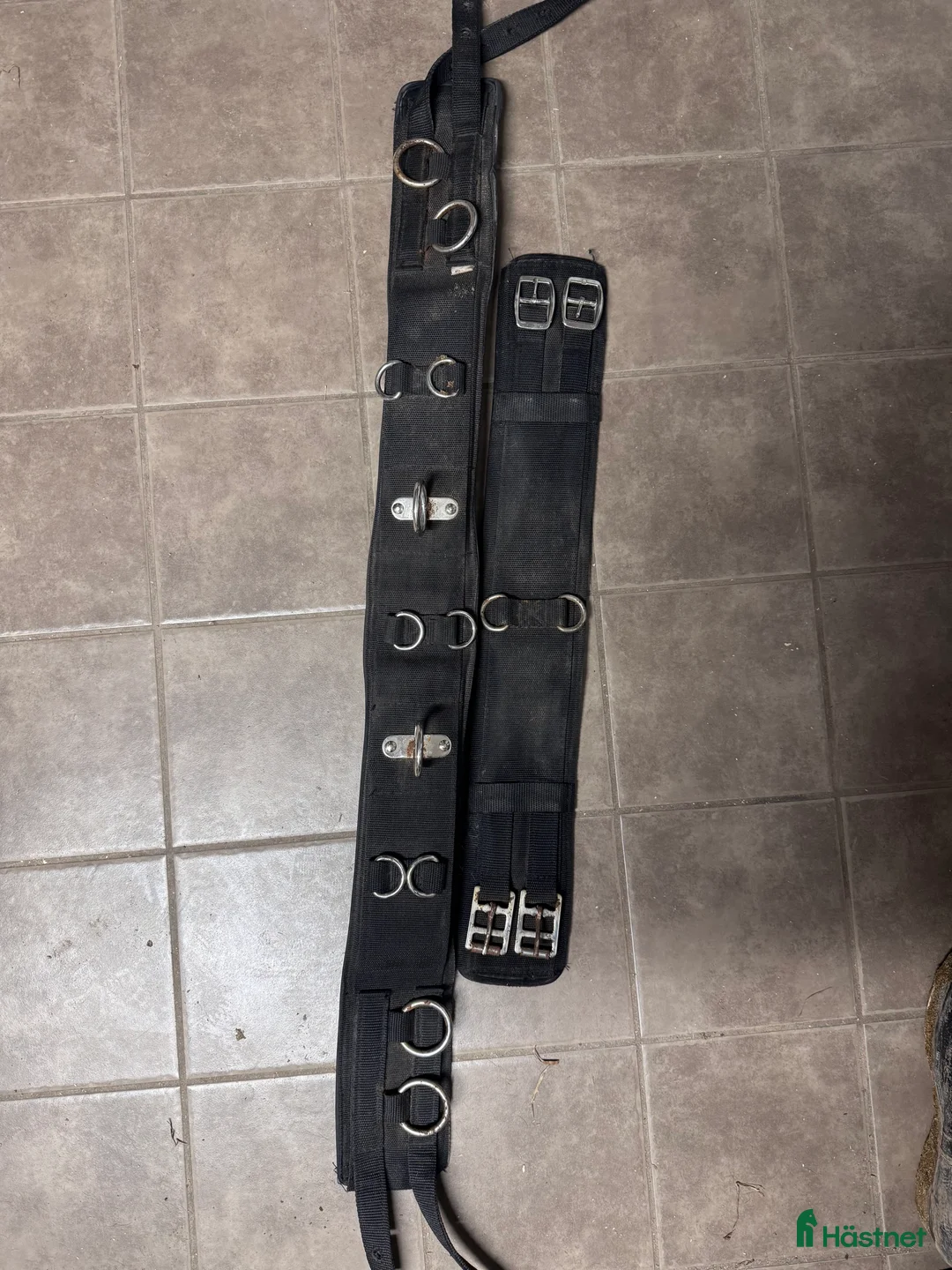 Övrig Hästutrustning hästutrustning till salu: Tömkörningsgjord i Borlänge - Annons 2