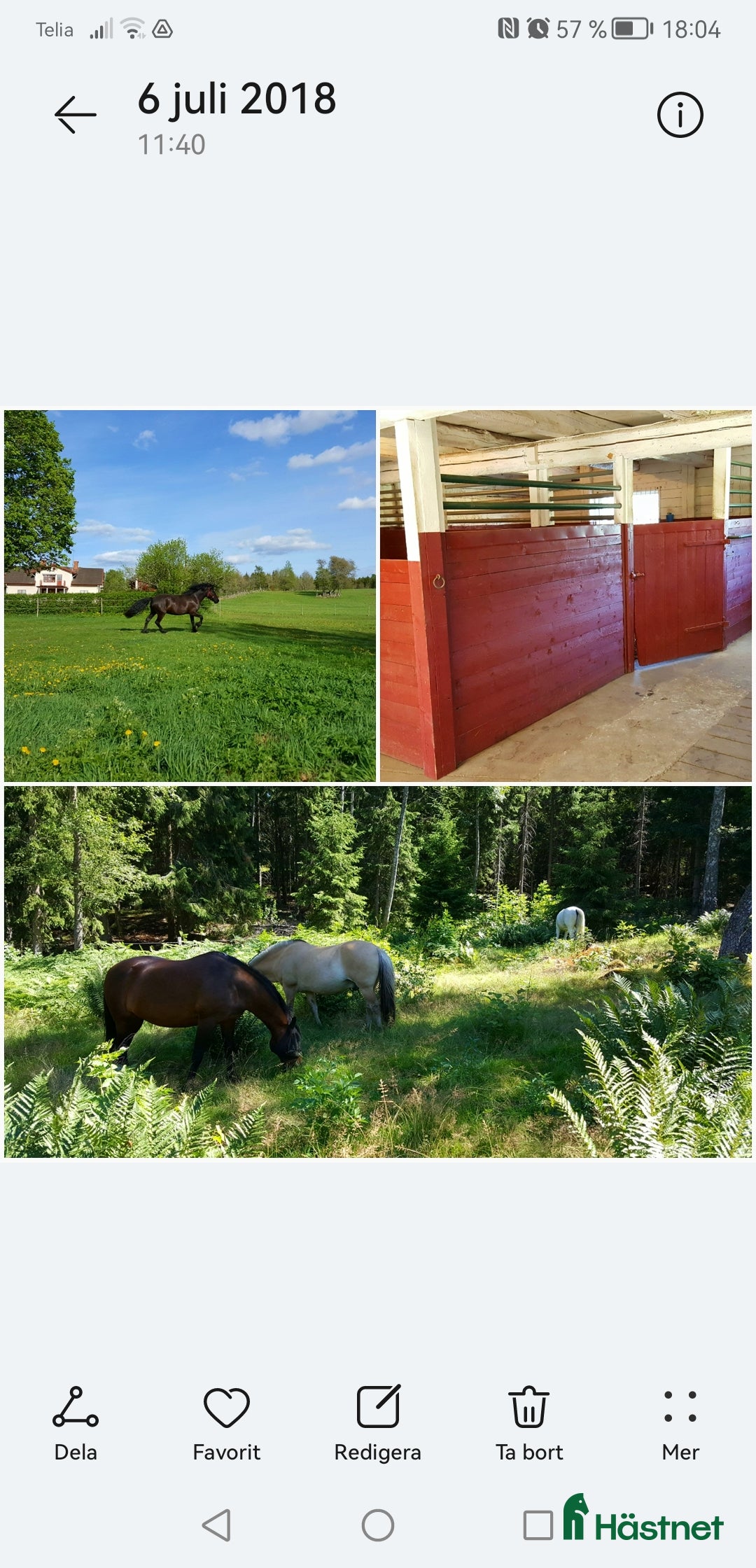  stallplats Lediga stallplatser i Tranås  i Tranås - Annons 9