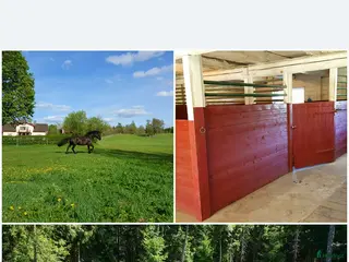 stallplats Lediga stallplatser i Tranås i Tranås - Annons 9