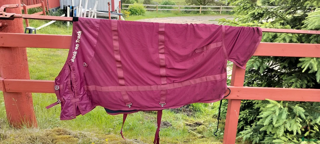 Täcken hästutrustning till salu: Back on track.  135cm - Annons 2