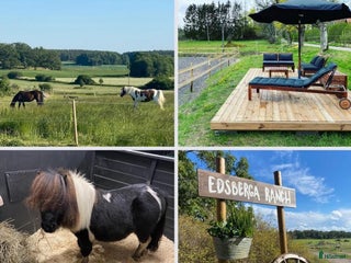 stallplats finnes: En ledig boxplats på Edsberga i Linköping - Annons 2