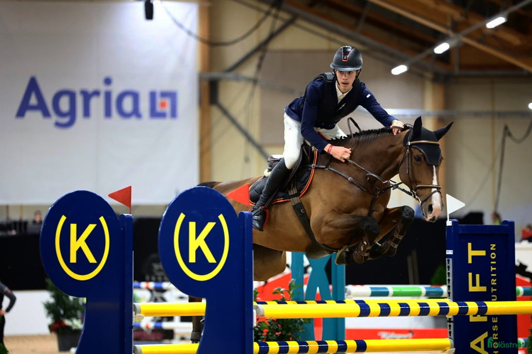 Hoppning hästar till salu: Toppstammat prestationssto med tävlingsmeriter i Linköping - Annons 1