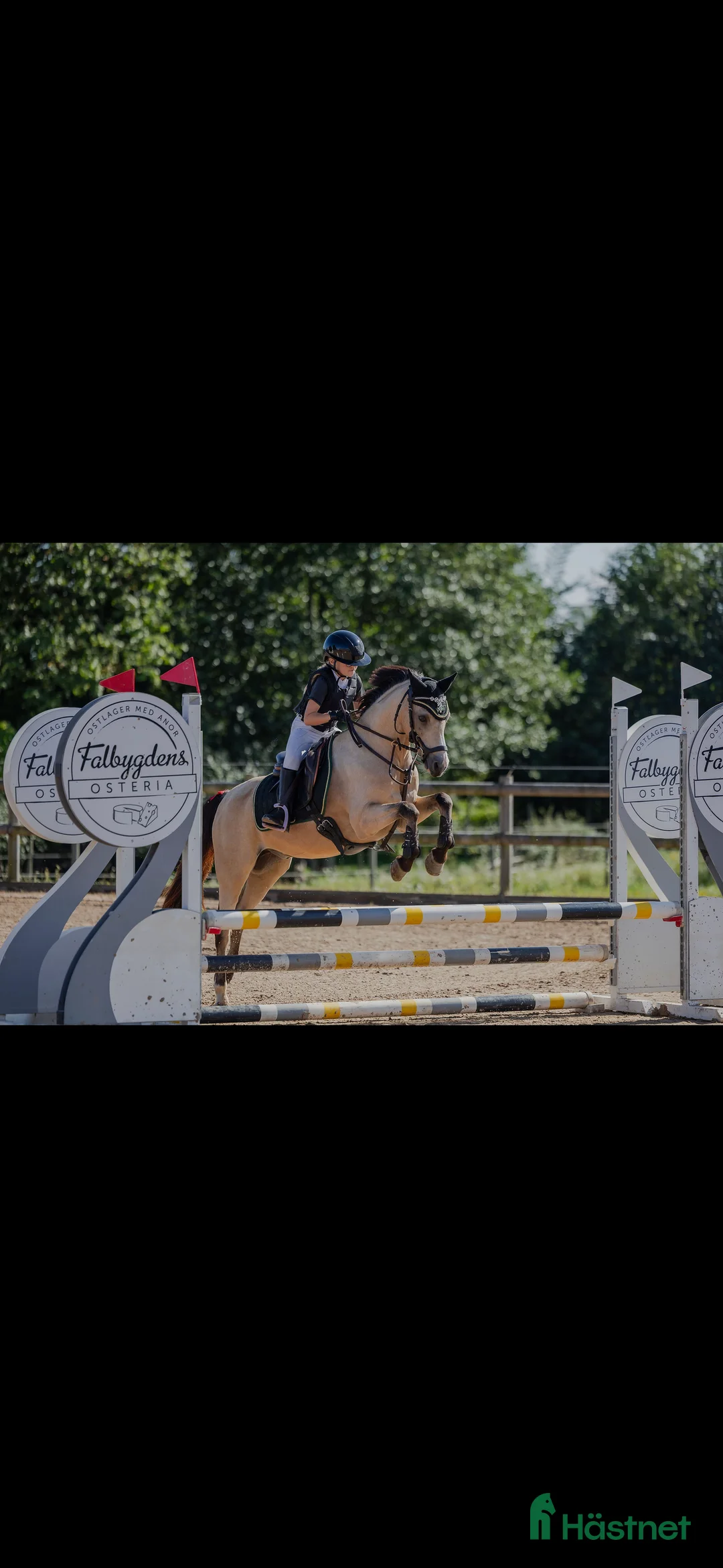 Allround hästar till salu: Superfin B-ponny  i Broddetorp - Annons 1