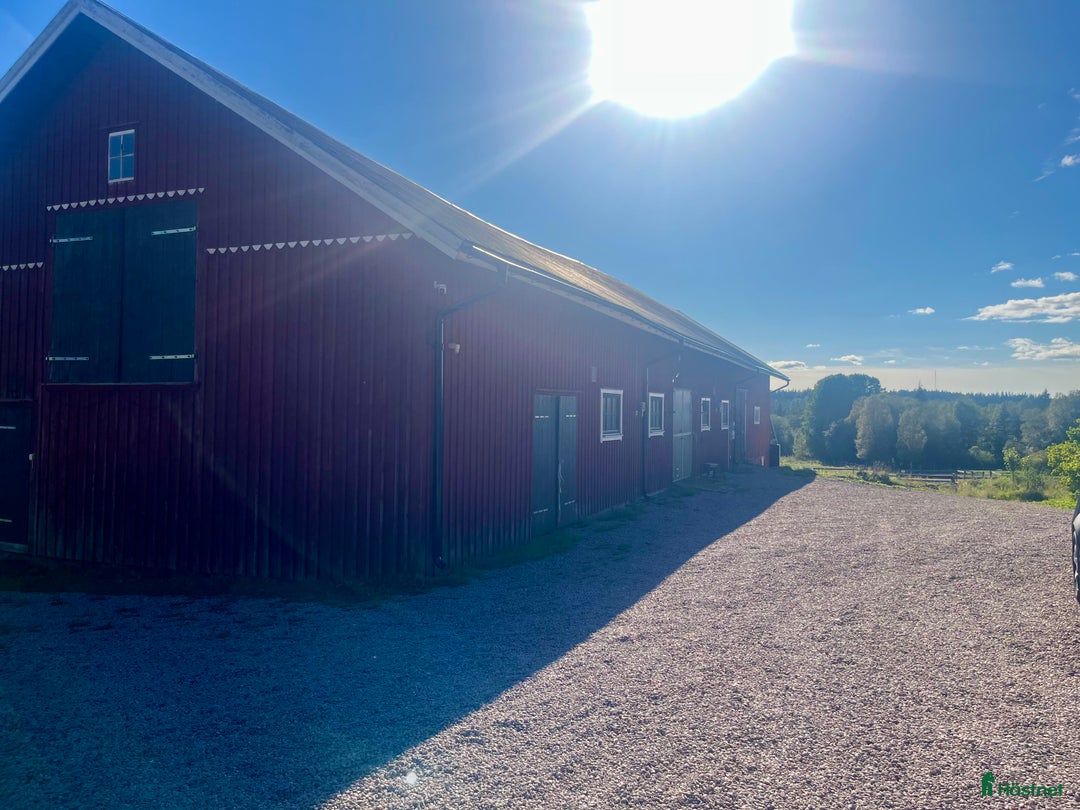  stallplats finnes: Möjlighet till egen fin lösdrift i Äspered - Annons 9
