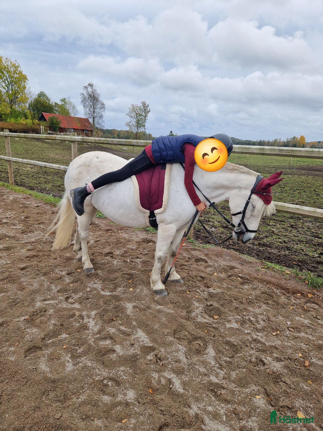 Allround hästar till salu: B ponny  i Åmål - Annons 1