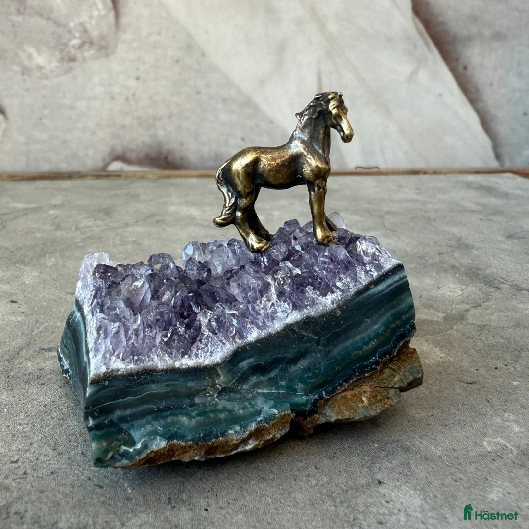 Fälttävlan hästar sökes: Har du vår dröm D-ponny? i Åkersberga - Annons 1