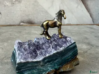 Fälttävlan hästar sökes: Har du vår dröm D-ponny? i Åkersberga - Annons 2