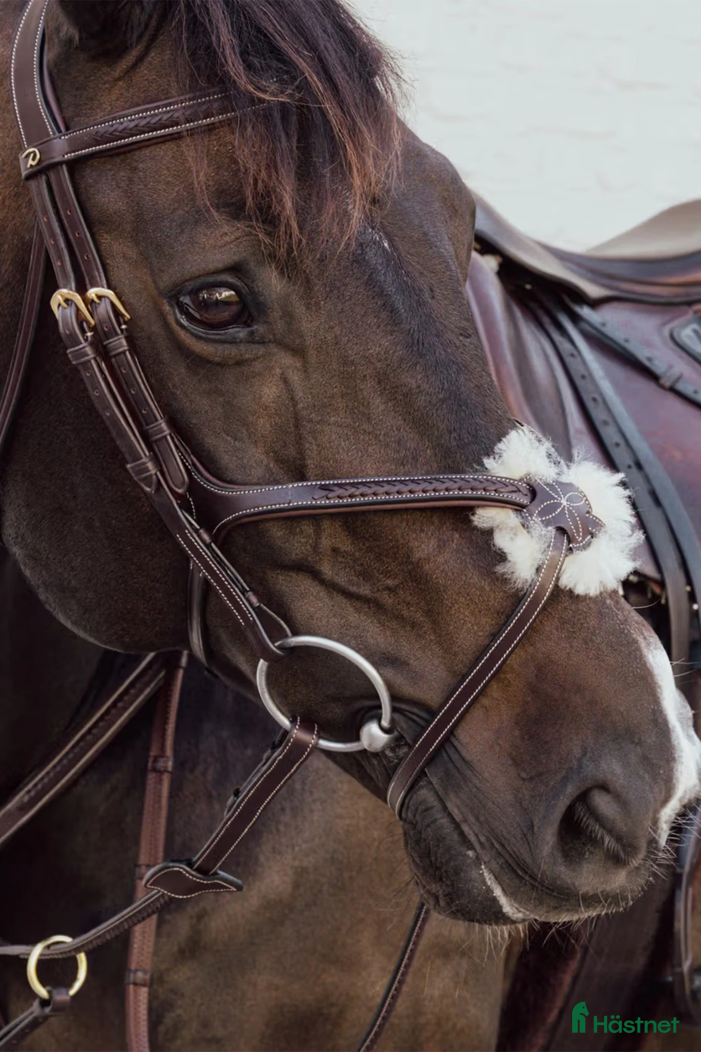 Träns hästutrustning Nytt Dyon träns, endast provat - Annons 16