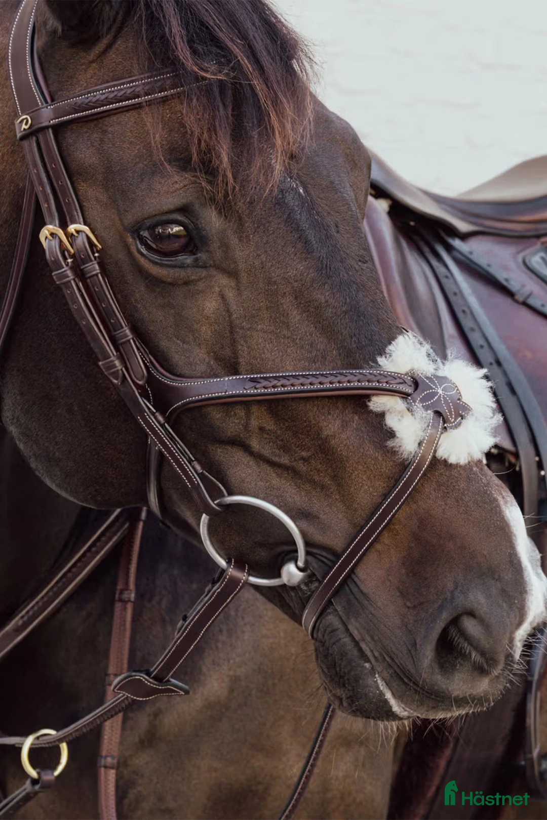 Träns hästutrustning till salu: Nytt Dyon träns, endast provat - Annons 1