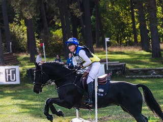 hästar Dimedo SWB fälttävlanshäst med toppstam i Åhus - Annons 3