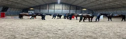  medryttarhäst finnes: Sommarhäst på Södertörn Ryttarcenter - Annons 8