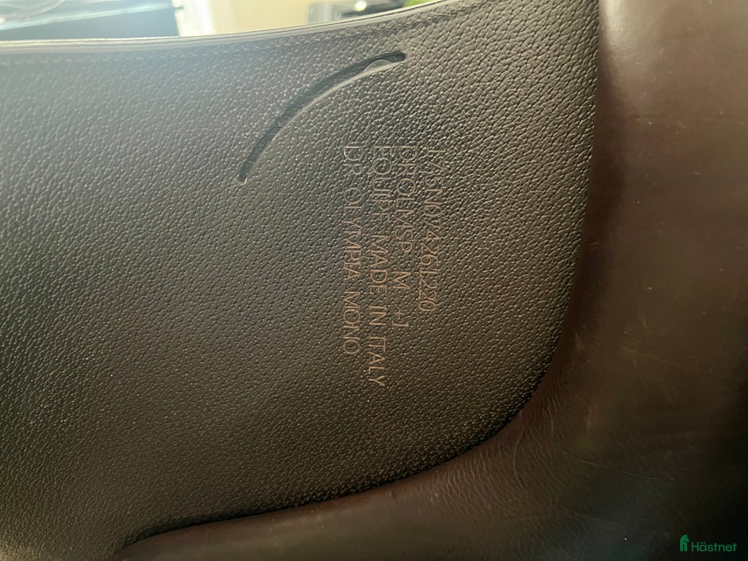 Sadlar hästutrustning till salu: Equipe Olympia - nyskick i Norrtälje - Annons 6