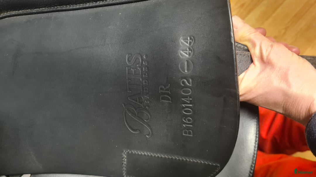 Sadlar hästutrustning till salu: Bates Dressage i Hamneda - Annons 3