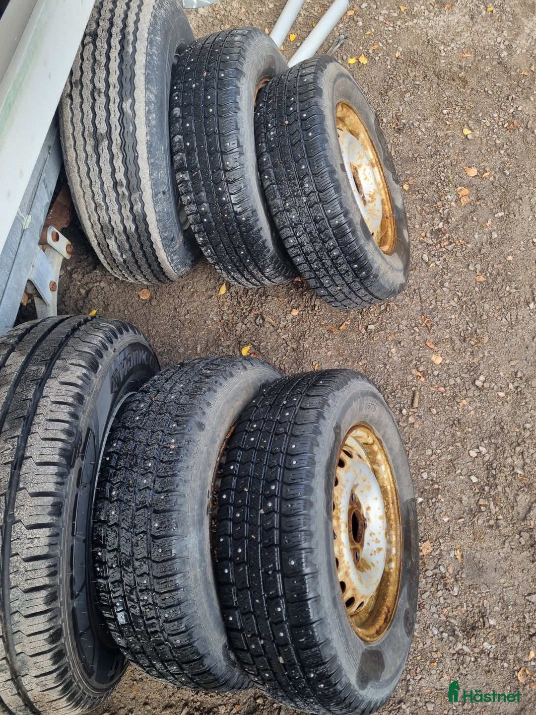 Hästtransporter  fordon & transport till salu: Thule Premium -08 i Ronneby - Annons 8