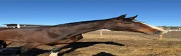  stallplats finnes: PROFESSIONELL LÖSDRIFT | SUNDSVALL  - Annons 5