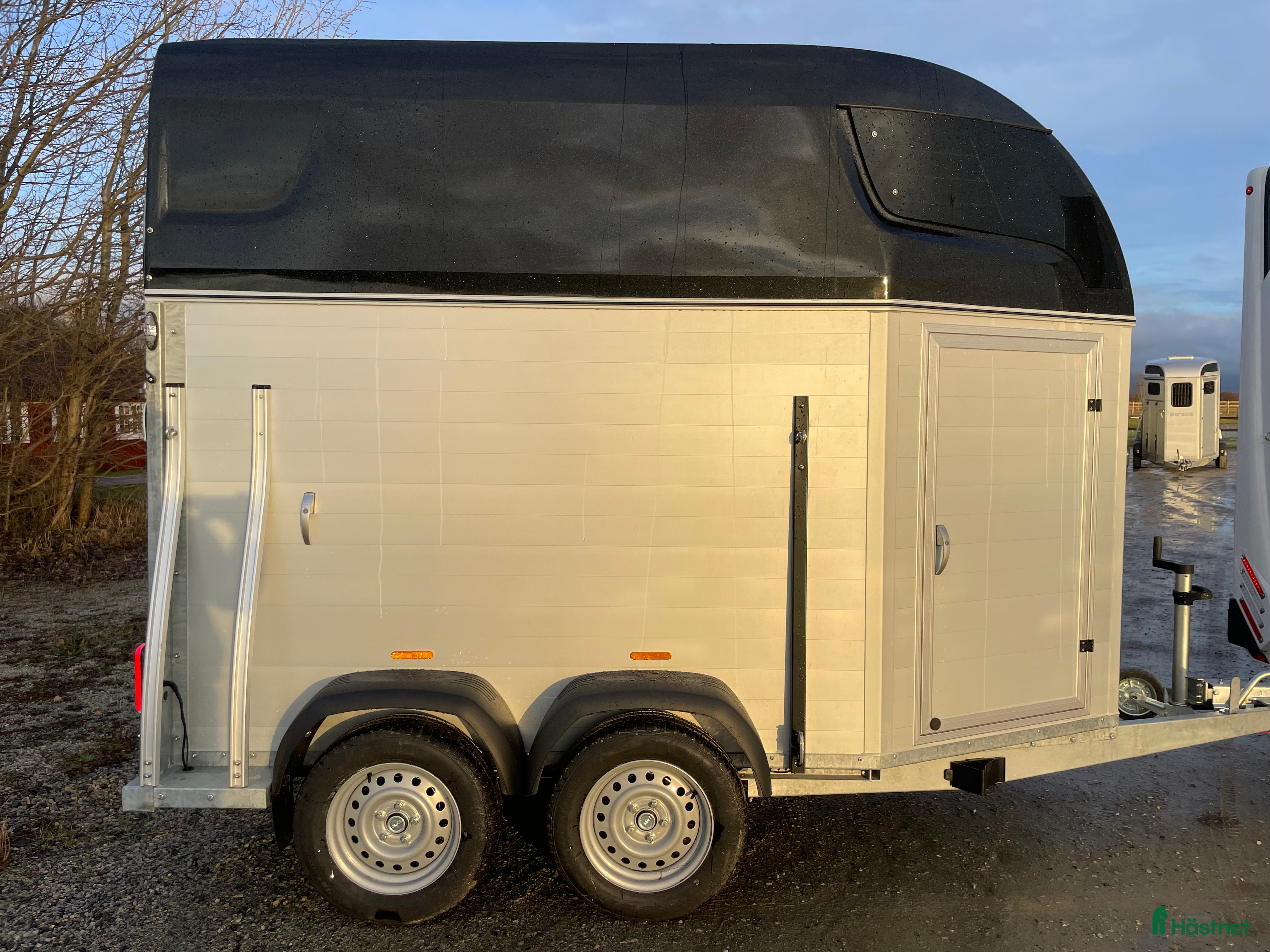 Hästtransporter  fordon &amp; transport till salu: Ny Sirius S75 Aluminium i Flyinge - Annons 13