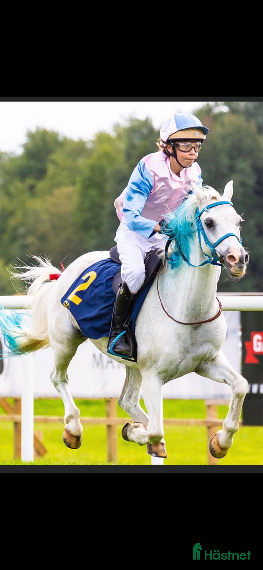 Allround hästar till salu: Allsidig ponny  i Lerum - Annons 2