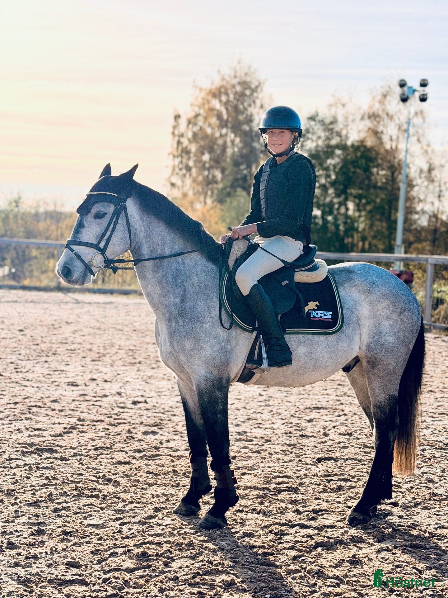  hästar till salu: 5-årig D ponny med mycket potential! 🌟 - Annons 10