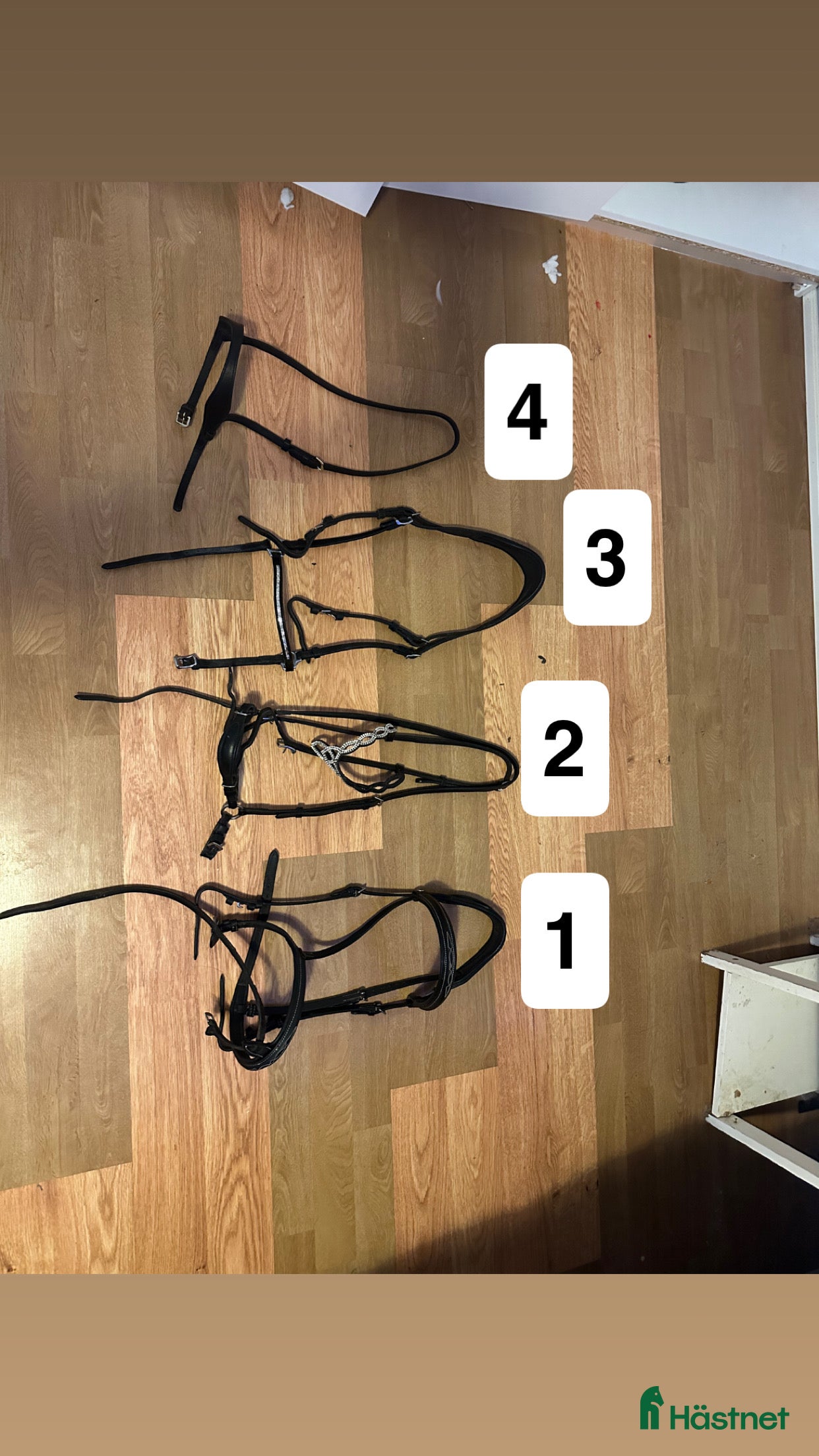 Träns hästutrustning till salu: träns samt tyglar  i Skultuna - Annons 1