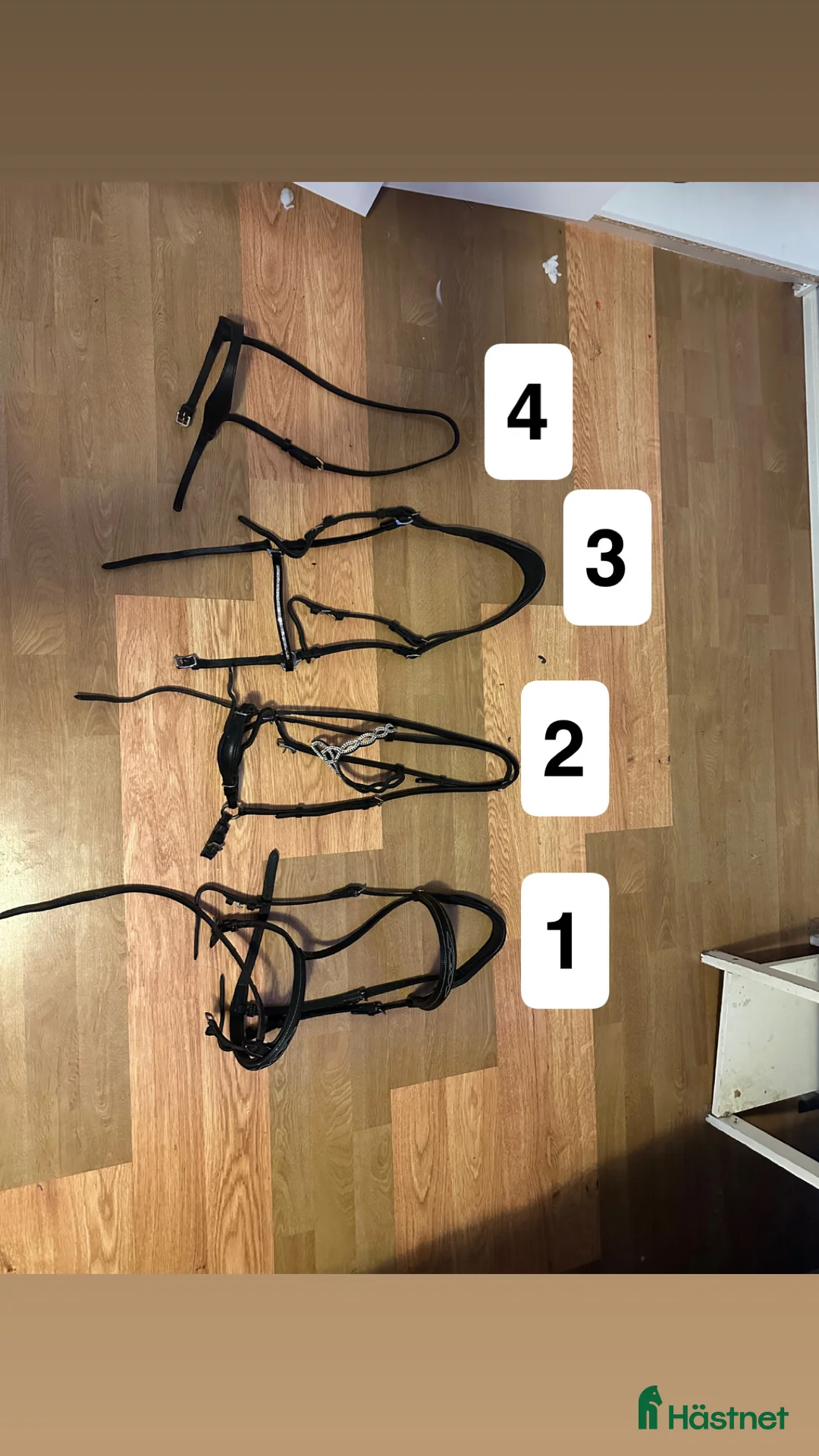 Träns hästutrustning till salu: träns samt tyglar  - Annons 1