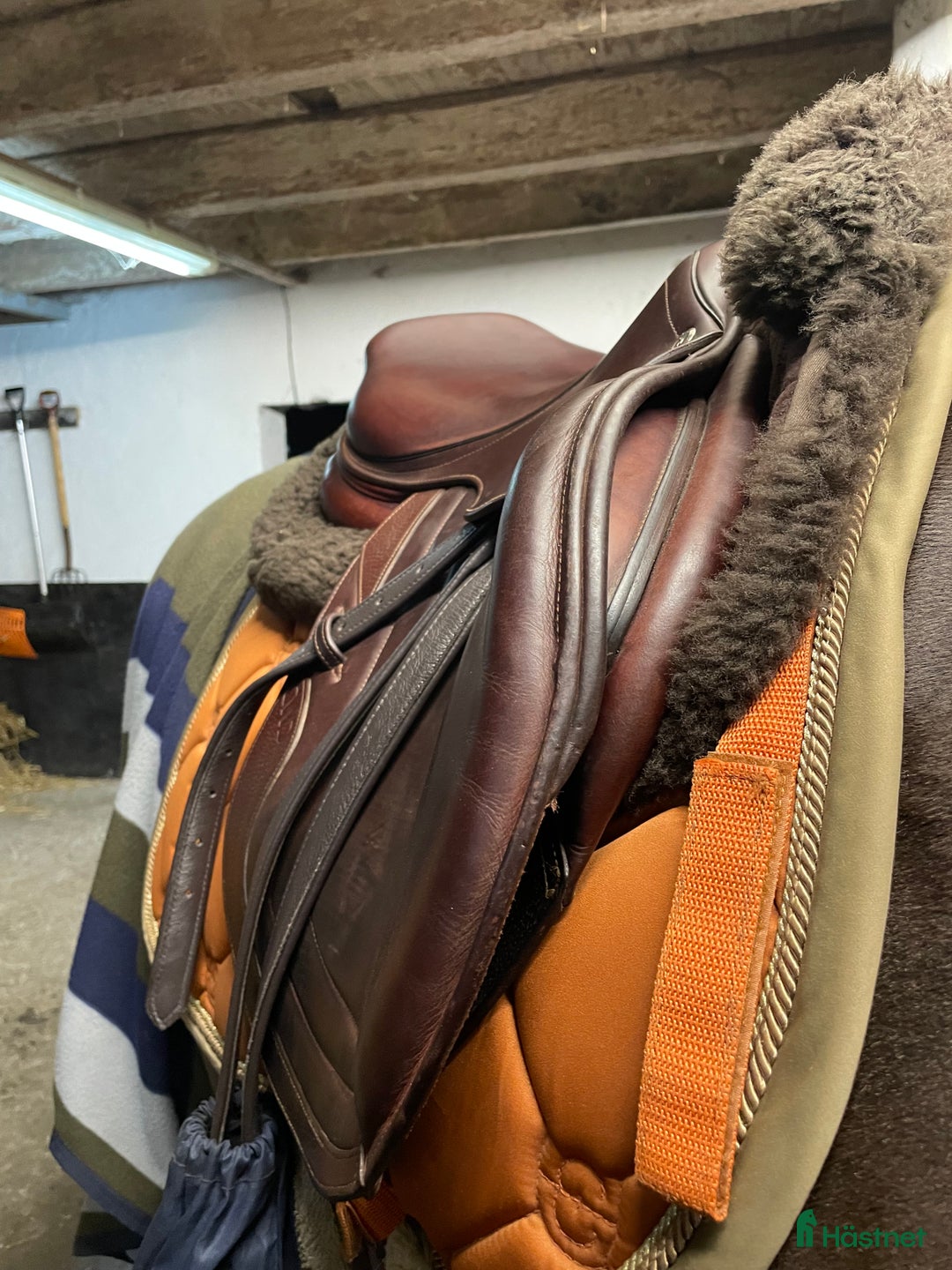 Sadlar hästutrustning till salu: Fin CWD i Trelleborg - Annons 6