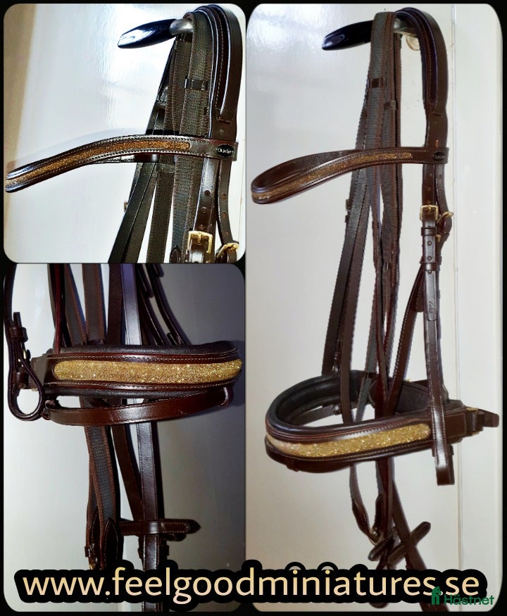 Träns hästutrustning till salu: Snyggt träns med guldglitter i Skövde - Annons 21