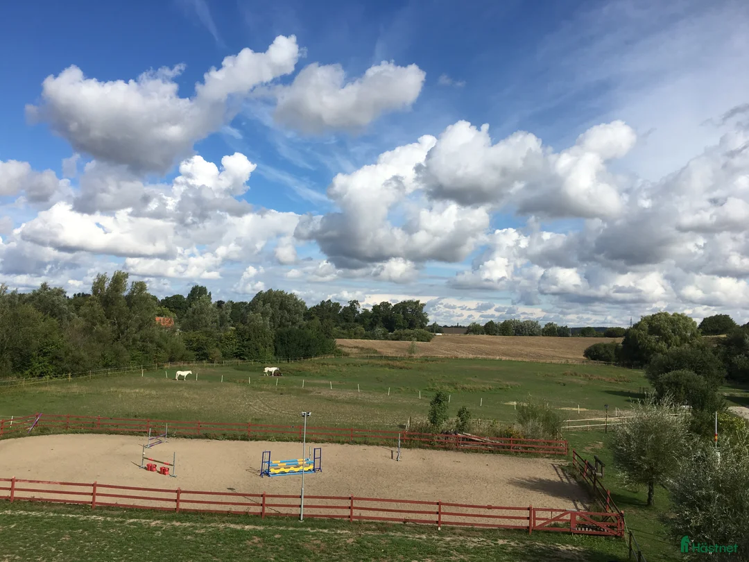  stallplats finnes: Boxplats ponny / islandshäst i Vellinge - Annons 6