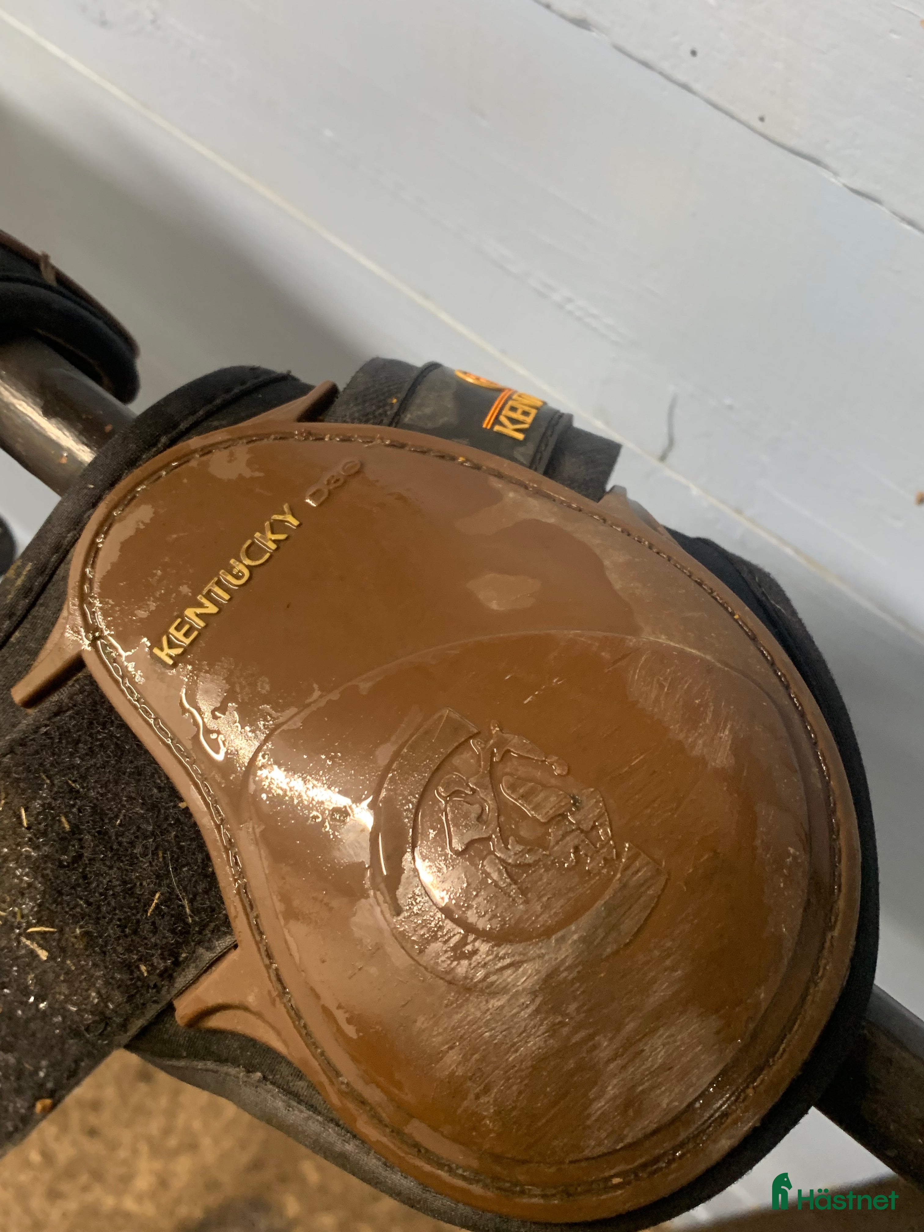 Benskydd hästutrustning till salu: Kentucky D30 i Västerås - Annons 1