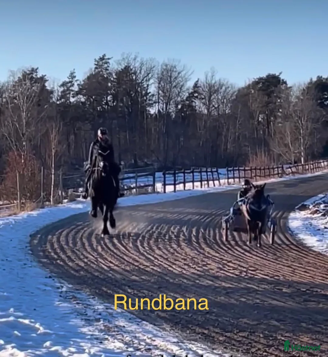  stallplats finnes: Stall med bostad uthyres - Annons 2