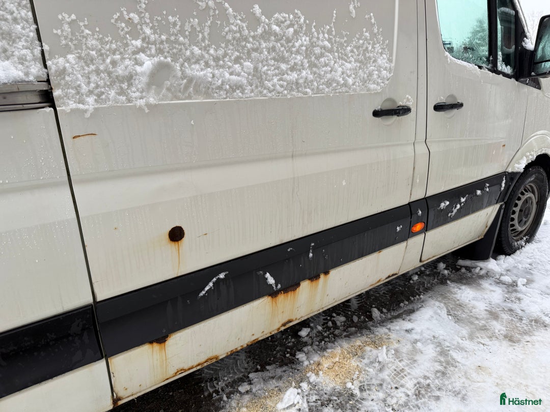 Hästlastbilar  fordon & transport till salu: Buss för A&B ponny i Frösön - Annons 2