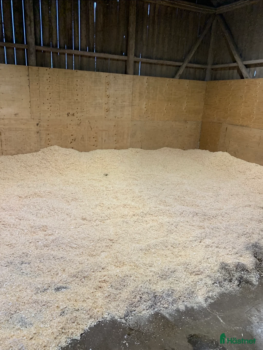  stallplats finnes: Fullservice lösdrift för unghäst/pensionär i Falköping - Annons 2