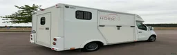 Hästlastbilar  fordon & transport till salu: NORDIC HORSE 3 – hela 1 270 kg i lastvikt! - Annons 5