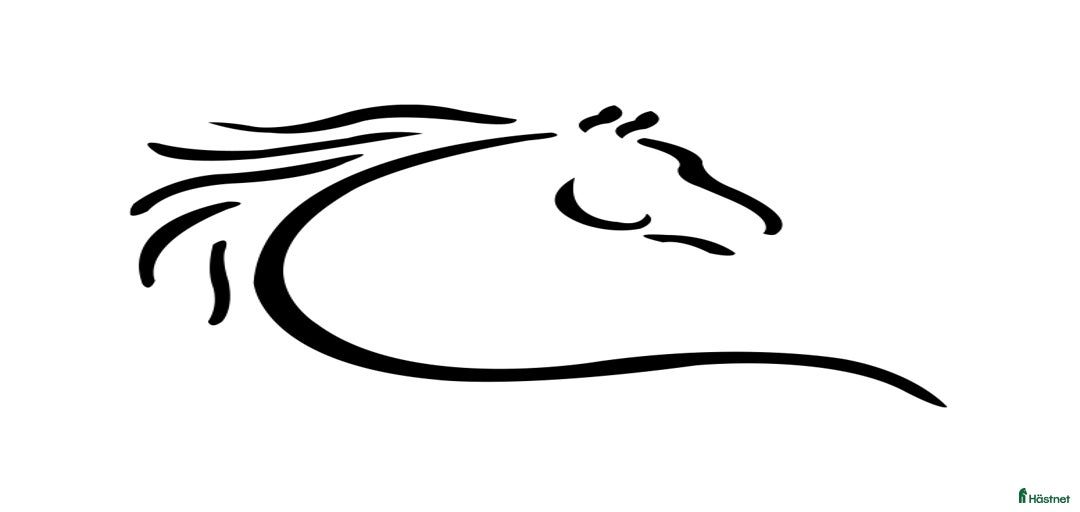 Galleribild {{count}}