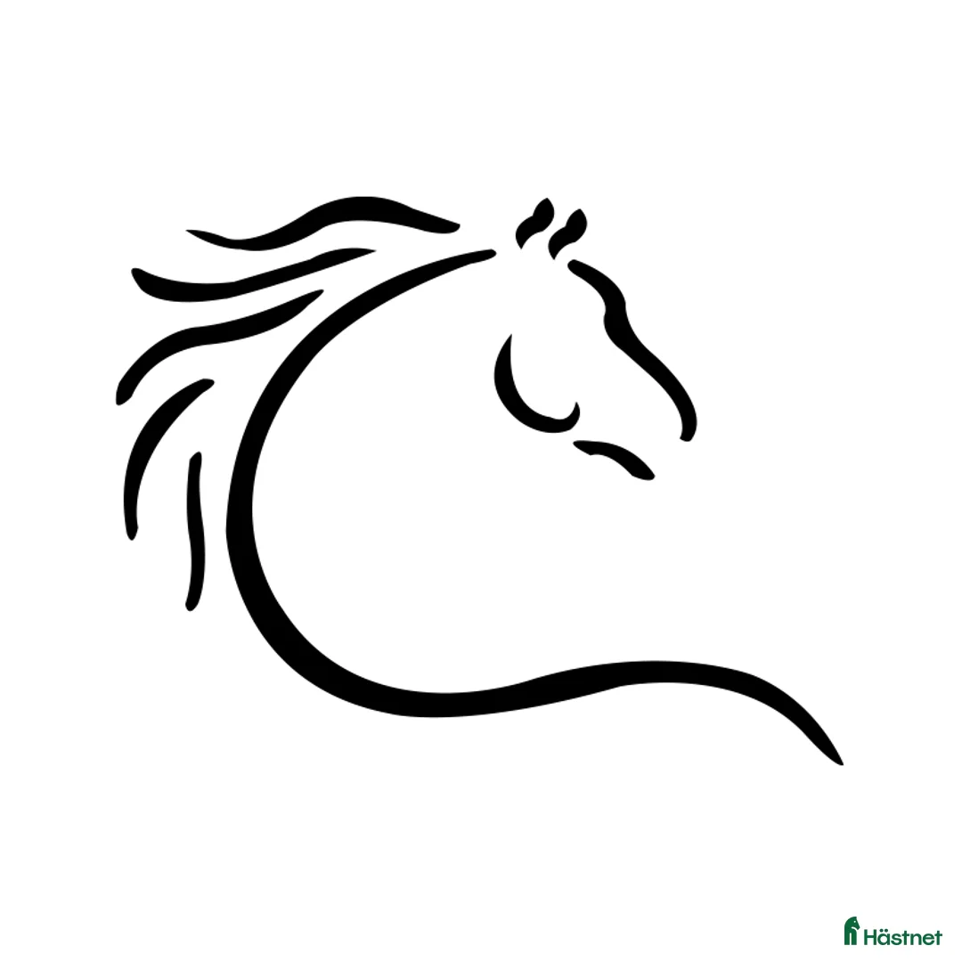 Galleribild {{count}}